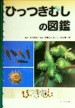 表紙画像